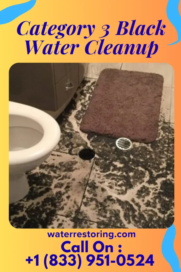 Category 3 Black Water Cleanup in Goodfield, IL