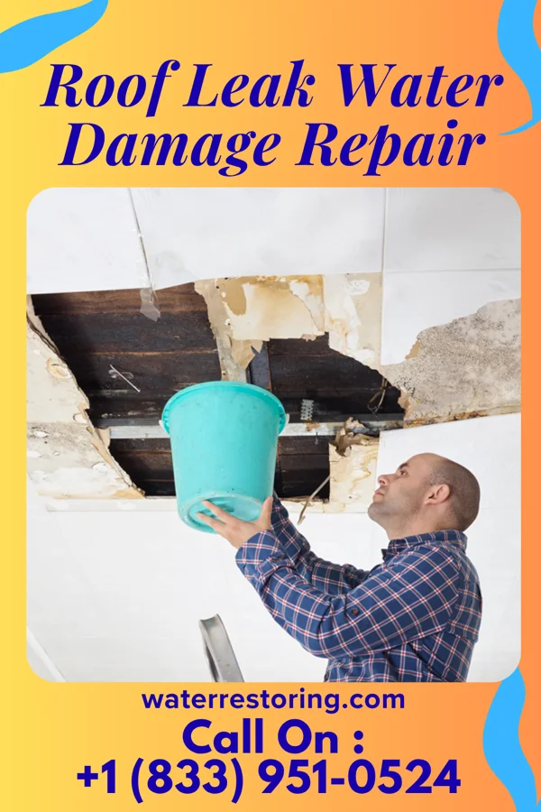 Roof Leak Water Damage Repair in Goodfield, IL
